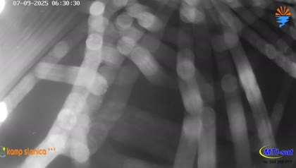 2025-09-07