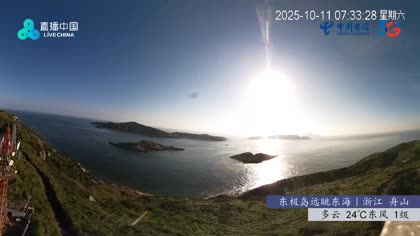 2025-10-11