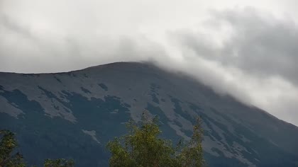 2026-08-18