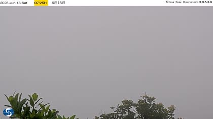 2026-06-13