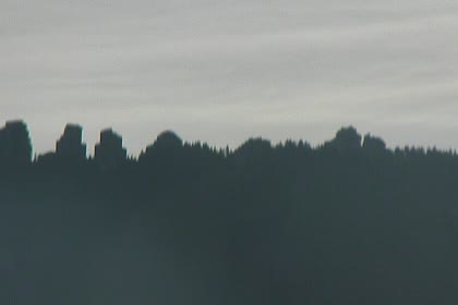 2025-08-04