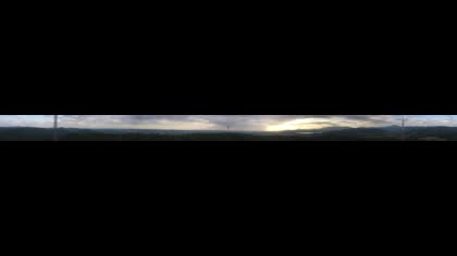 2026-08-11