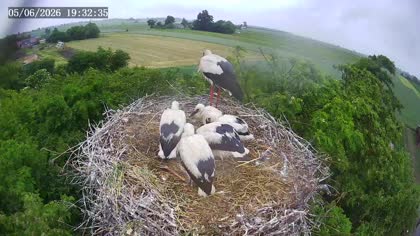 2026-06-05
