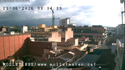 2026-06-11