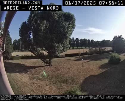 2025-07-01
