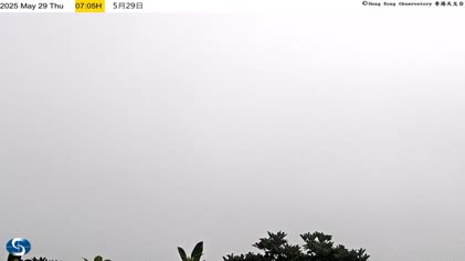 2025-05-29