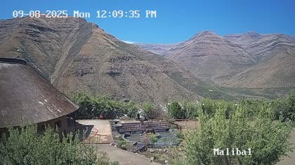 2025-09-08