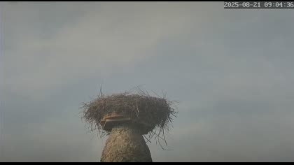 2025-08-21
