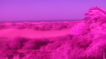 2026-09-28
