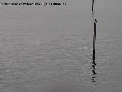 2025-08-28