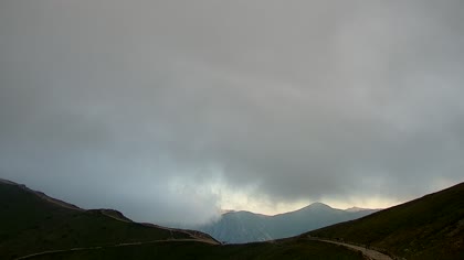 2026-08-11