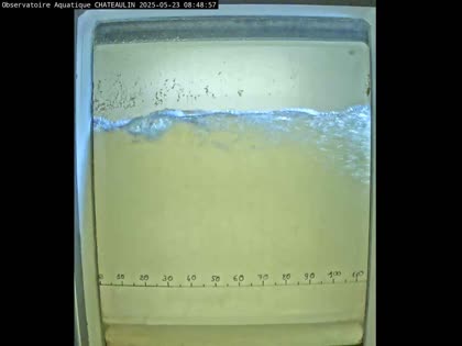 2025-05-23