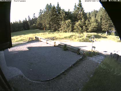 2025-06-19