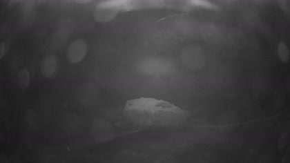 2025-07-06