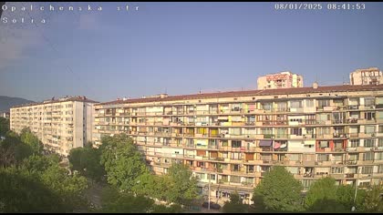 2025-08-01