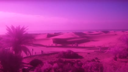 2026-09-19