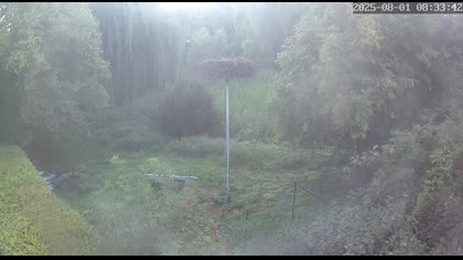 2025-08-01