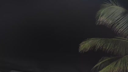 2025-06-05