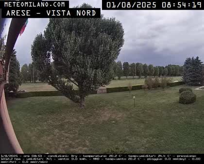 2025-08-01