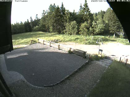 2025-06-01