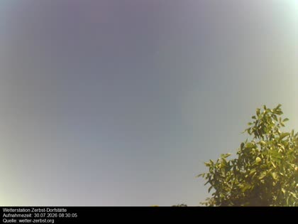 2026-07-30