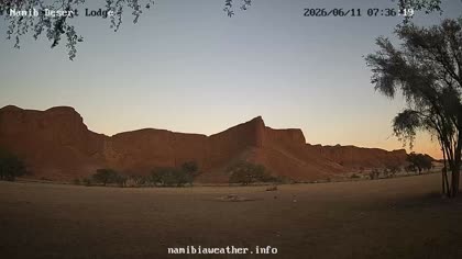2026-06-11