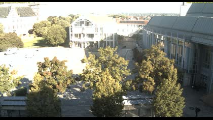 2025-08-08