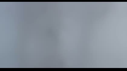 2025-07-28
