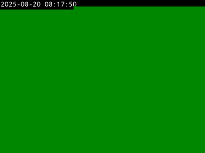 2025-08-20