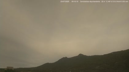 2025-07-23