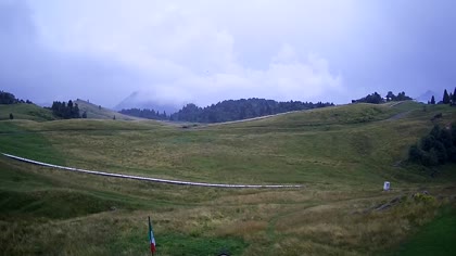 2025-08-01