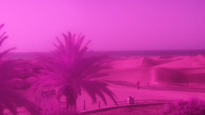 2026-06-29