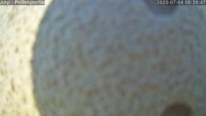2025-07-04