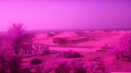 2026-07-25