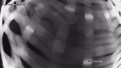 2025-08-07