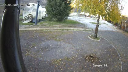 2025-10-08