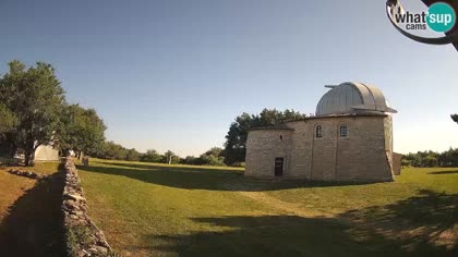 2026-06-19