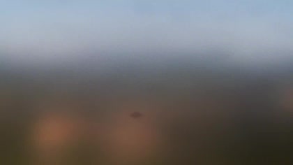 2025-07-20