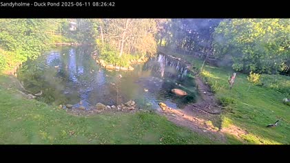 2025-06-11