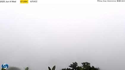 2025-06-04
