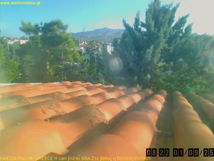 2025-09-01