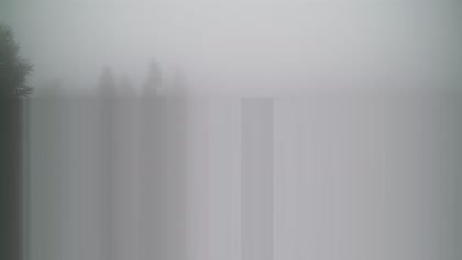 2025-07-26