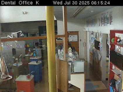 2025-07-29