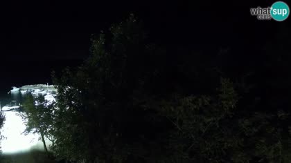 2025-09-01