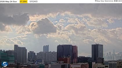 2026-05-24