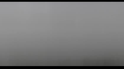 2025-07-29