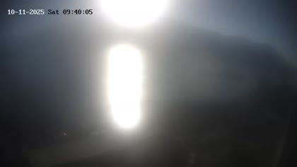 2025-10-11