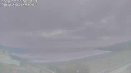 2026-07-29