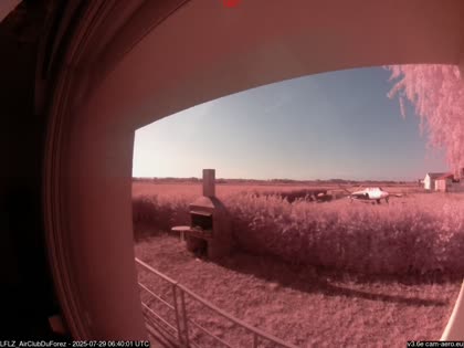 2025-07-29
