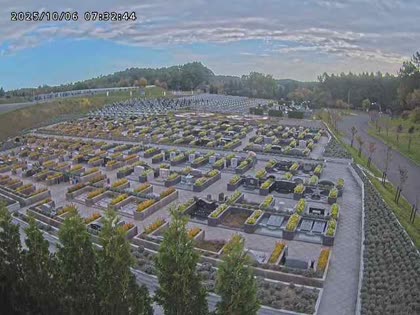 2025-10-06